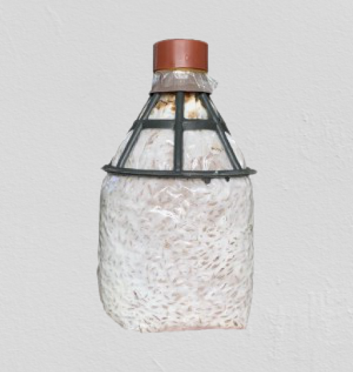 Meo Nấm Mối Đen